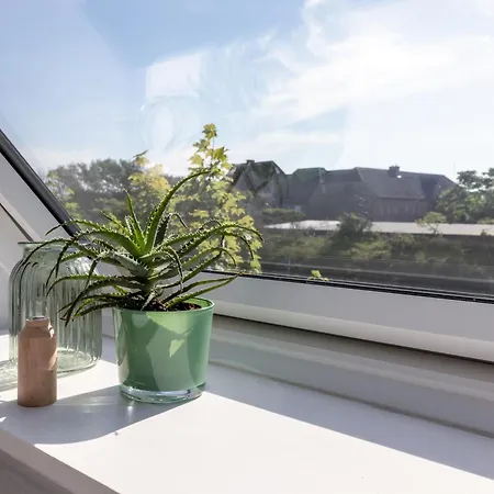 Apartment Inselkind